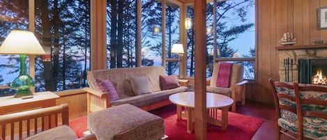 Fireplace, books, music library, stereo