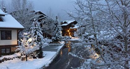 Kaunis höyrylaiva huoneisto upealla paikalla!