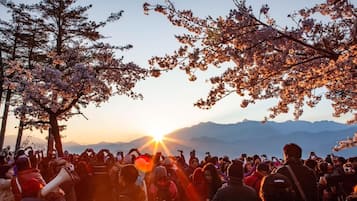 Outdoor banquet area
