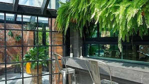 Un espacio interior moderno con techo de vidrio, sillas de metal y una gran planta de helecho verde.