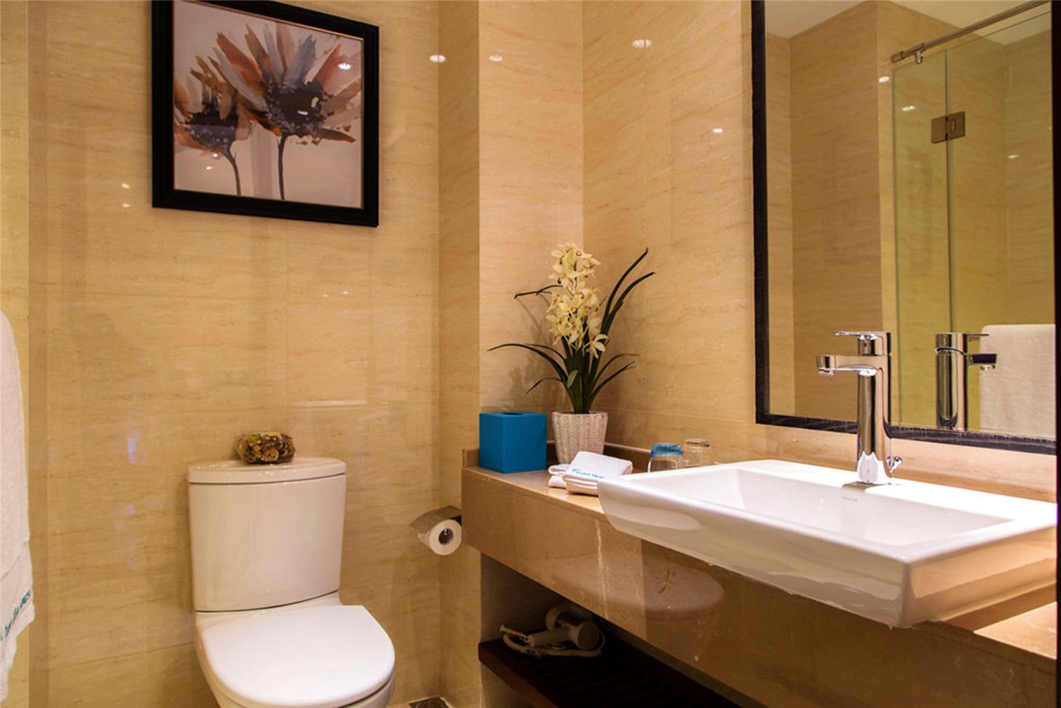 shower, free toiletries, hair dryer, slippers