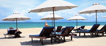 Under the coconut tree - Hostel