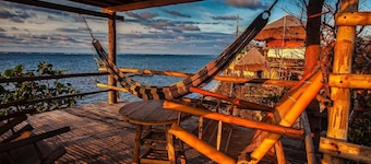Birdland Beach Club