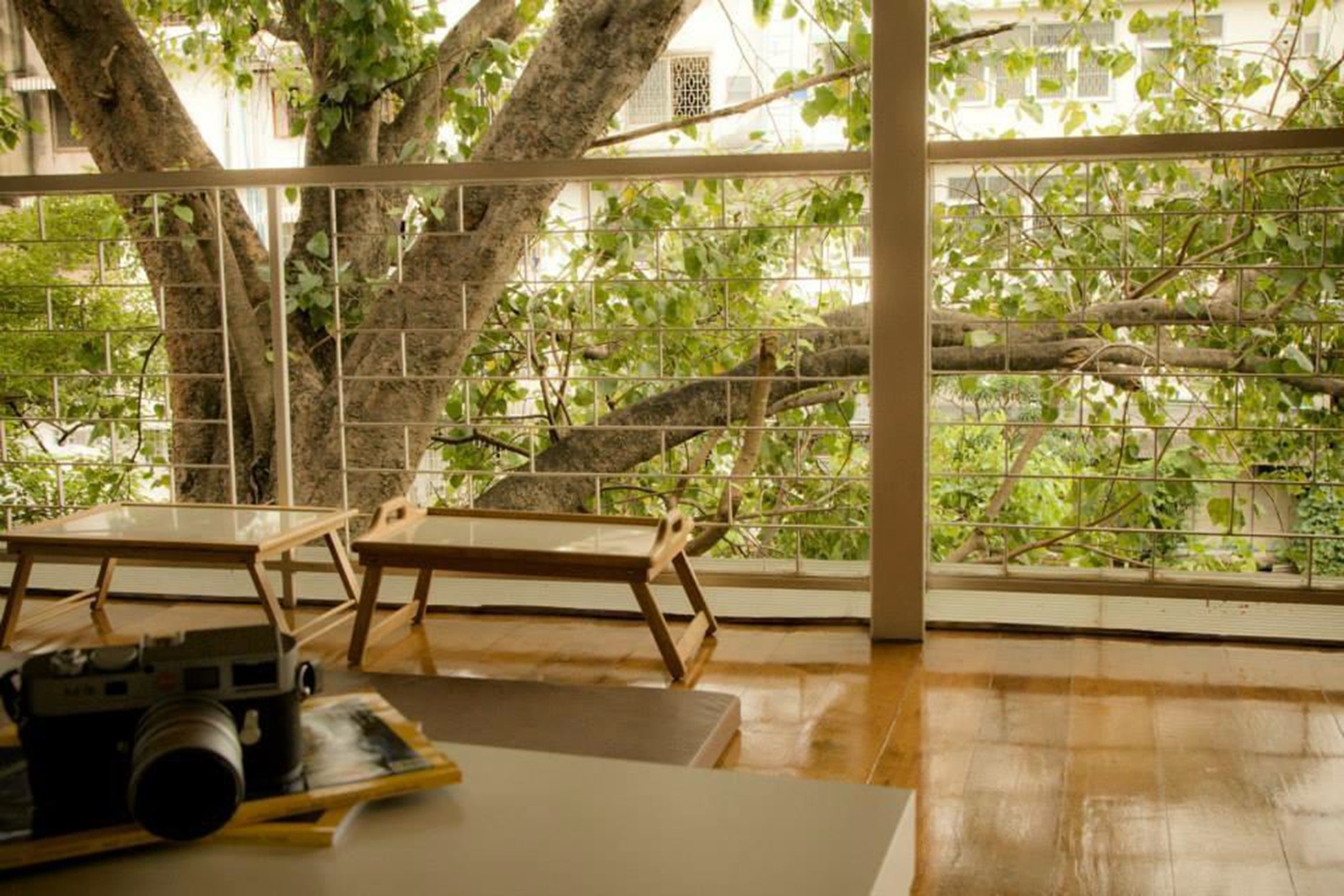 Vista da propriedade