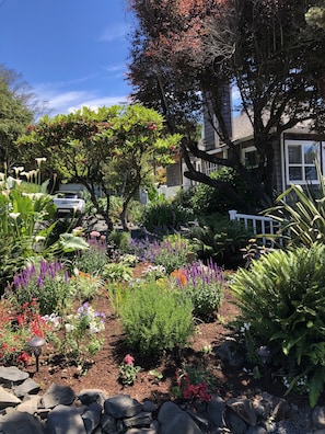 Garden - Inn at Arch Cape (Arch Cape)