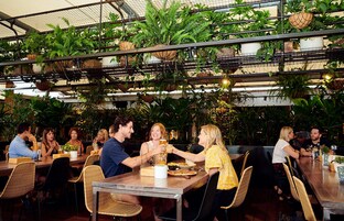 Lunch and dinner served