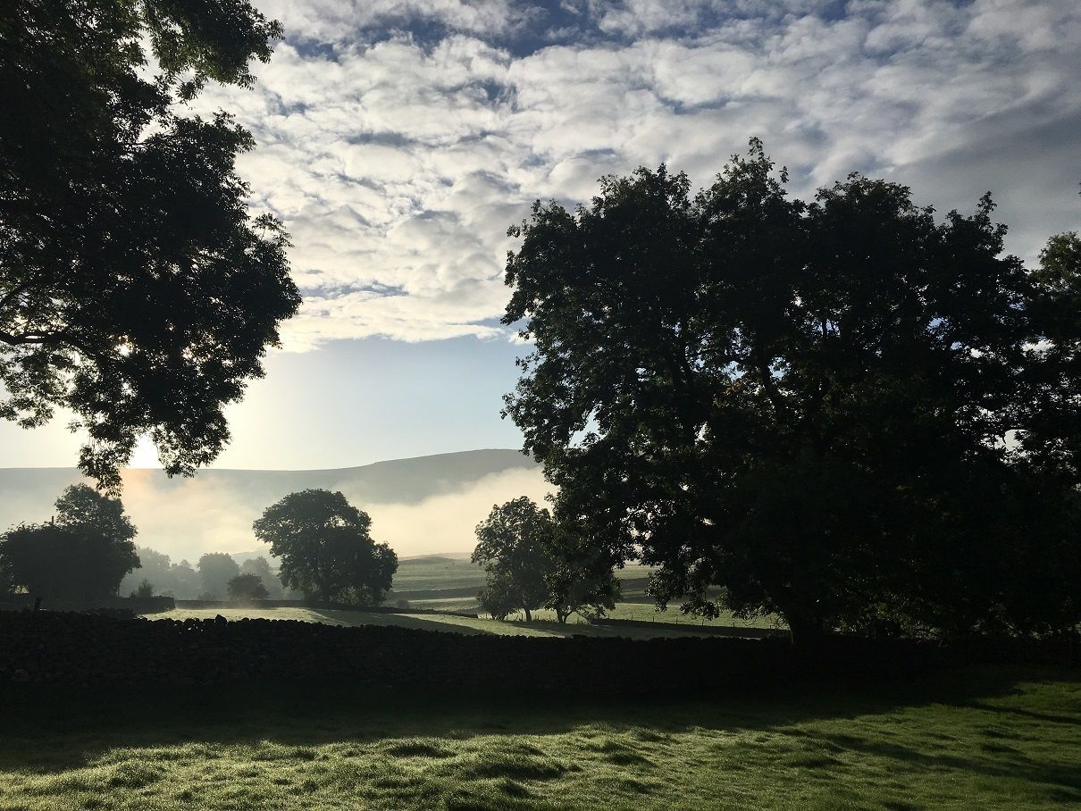 A landscape with trees, a stone wall, and a misty background.