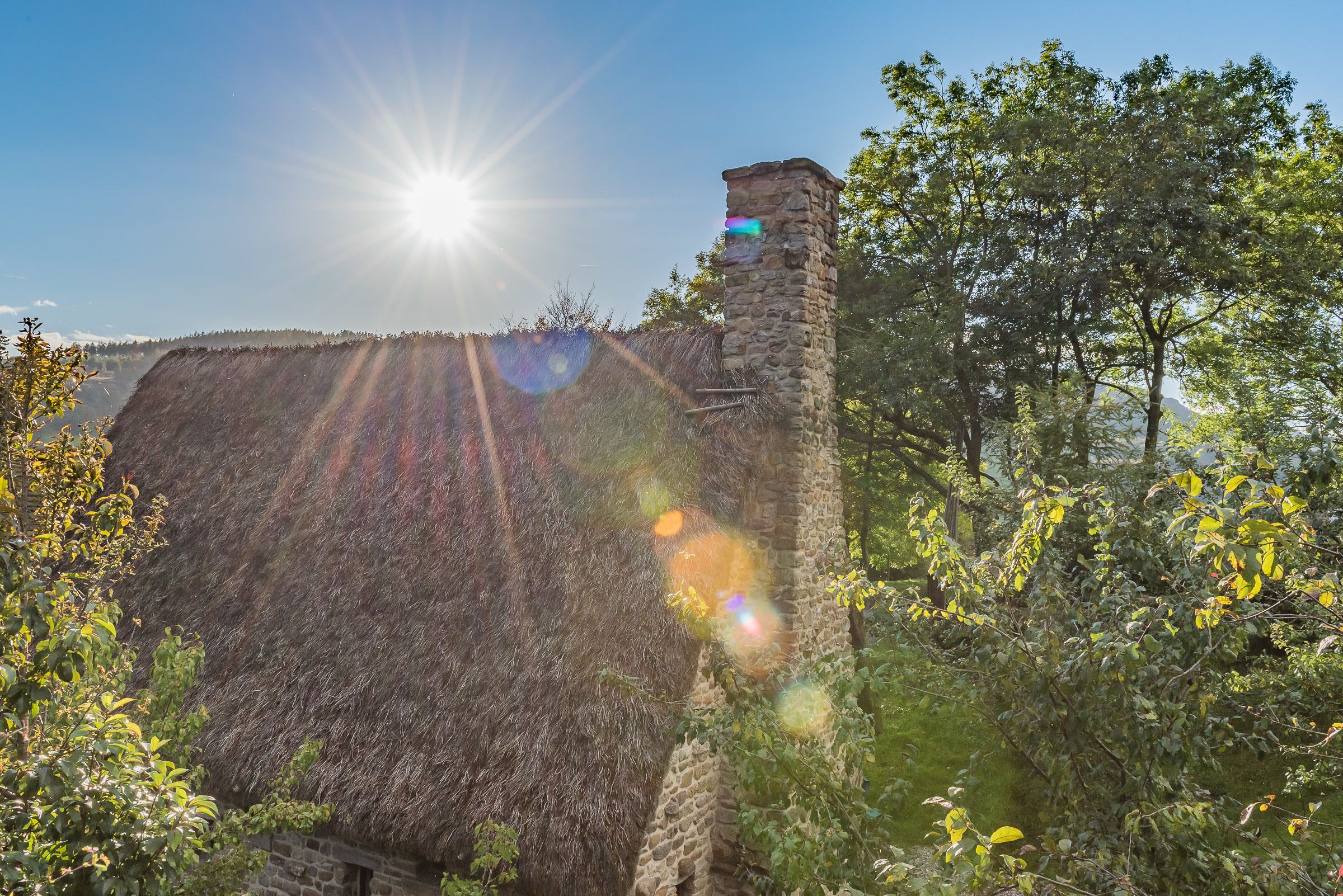 A thatched-roof structure with a stone chimney, surrounded by greenery and trees.