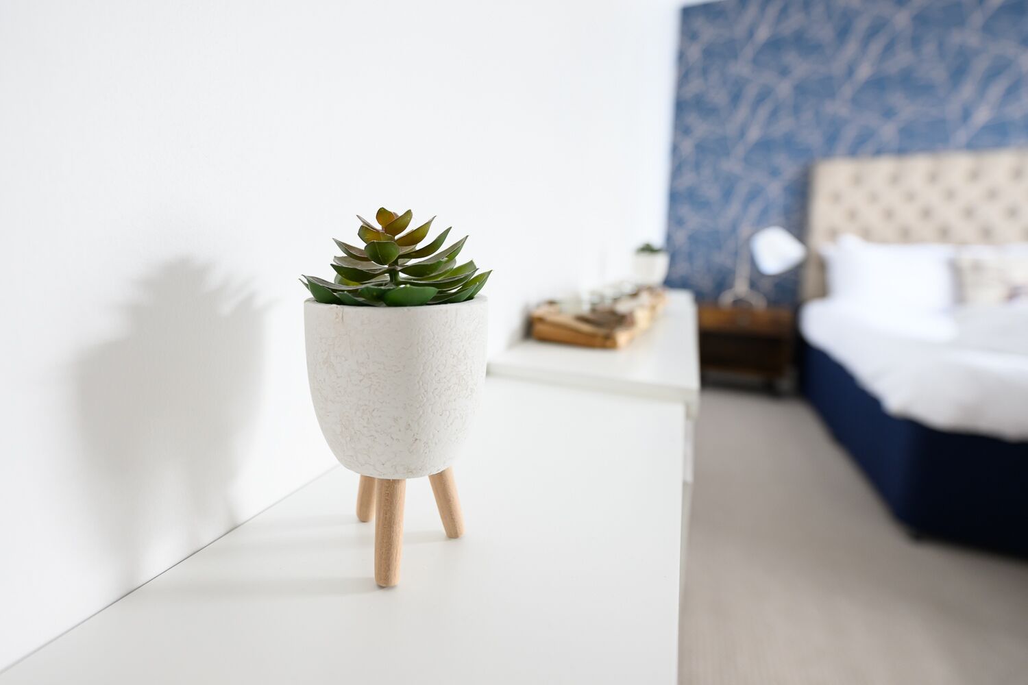 Una suculenta pequeña en una maceta sobre una mesa blanca en una habitación moderna con pared azul estampada y una cama al fondo.