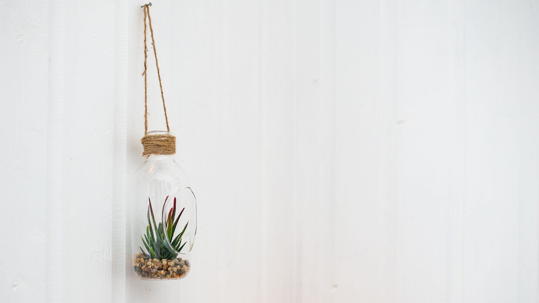 A clear glass bottle with a plant inside, hanging from a rope on a white wall.