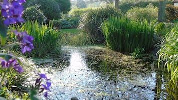 Jardín