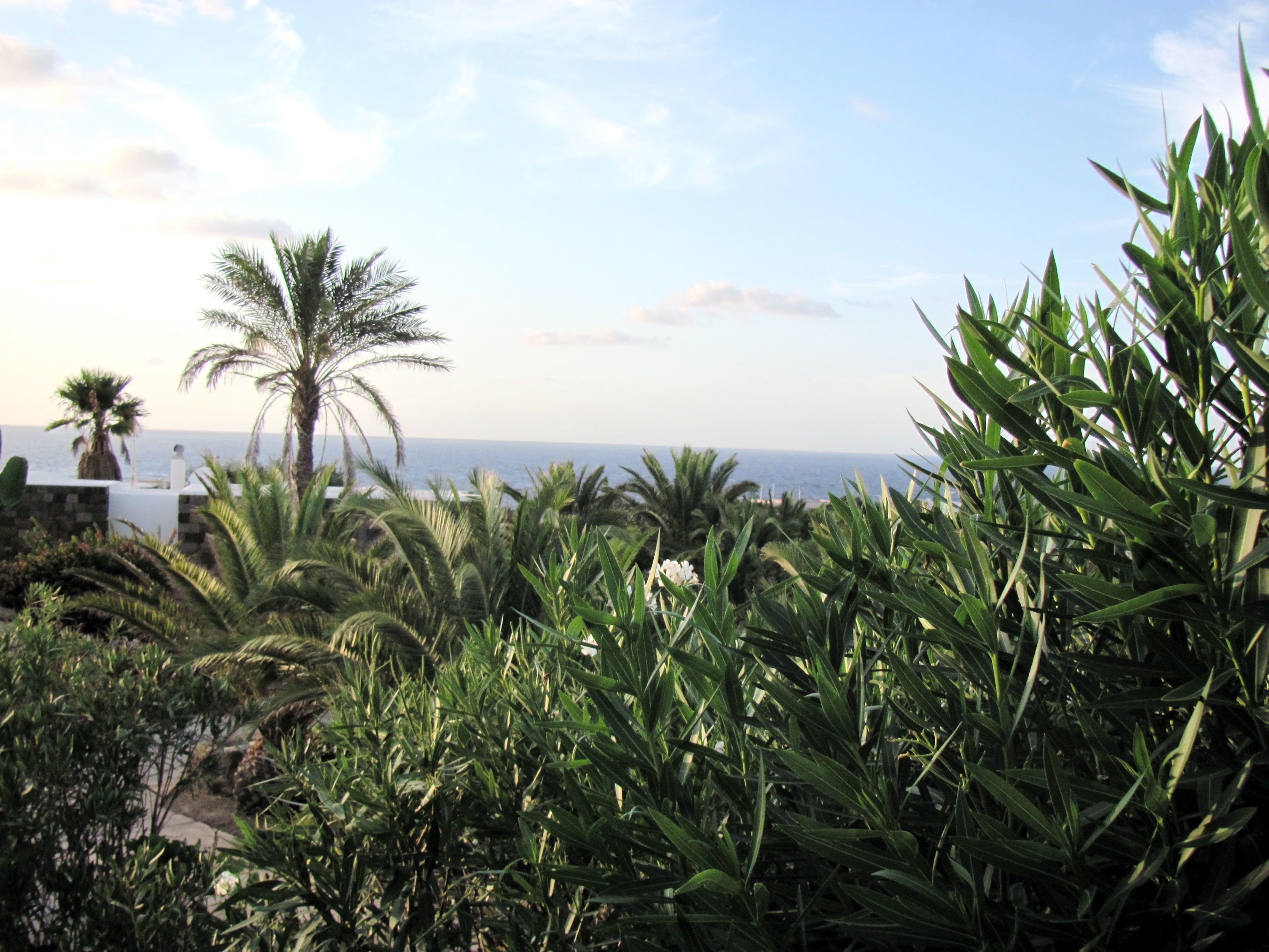 Strand-/Meerblick