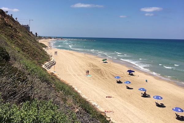 Strandtücher, Strandbar