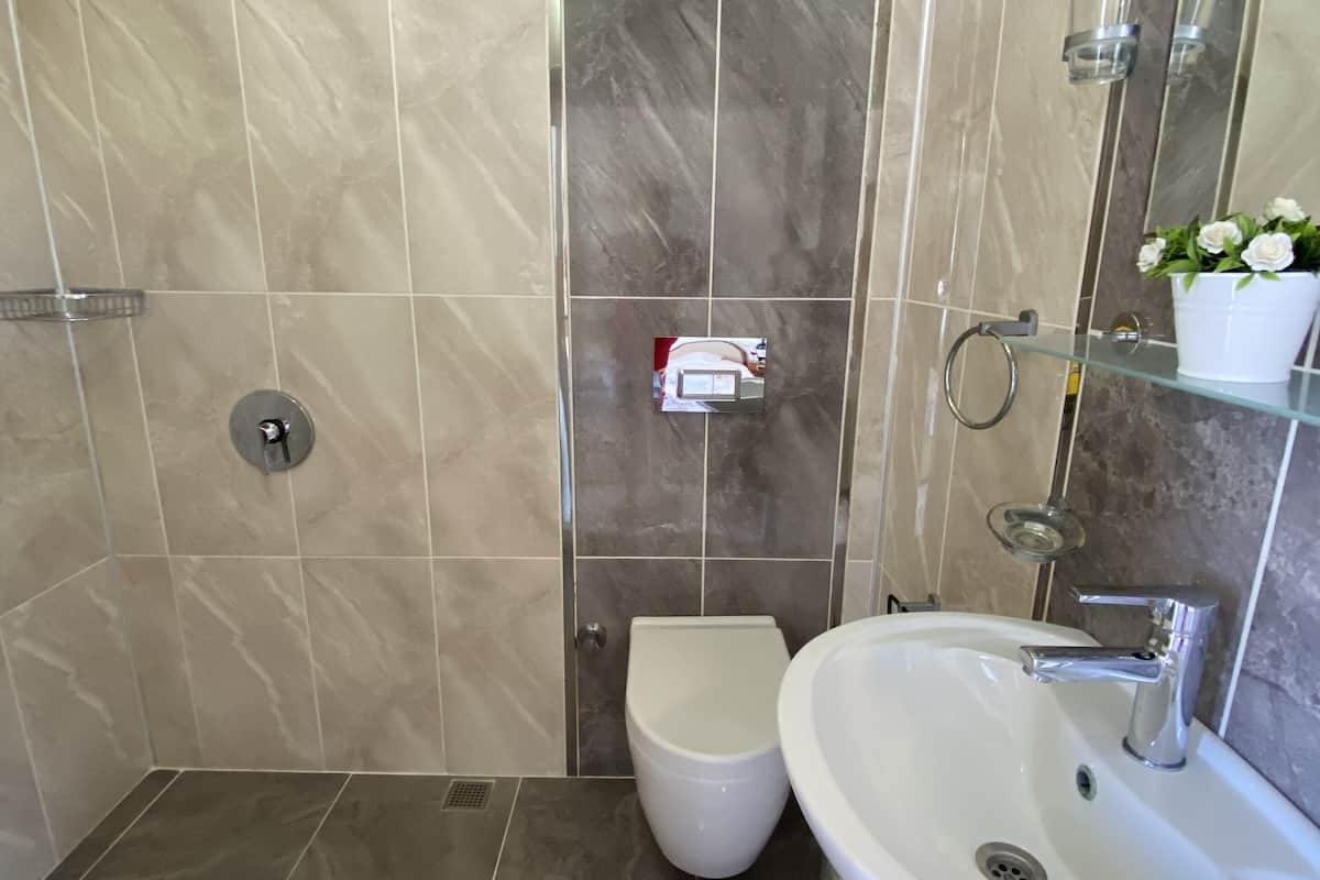 shower, free toiletries, hair dryer, towels