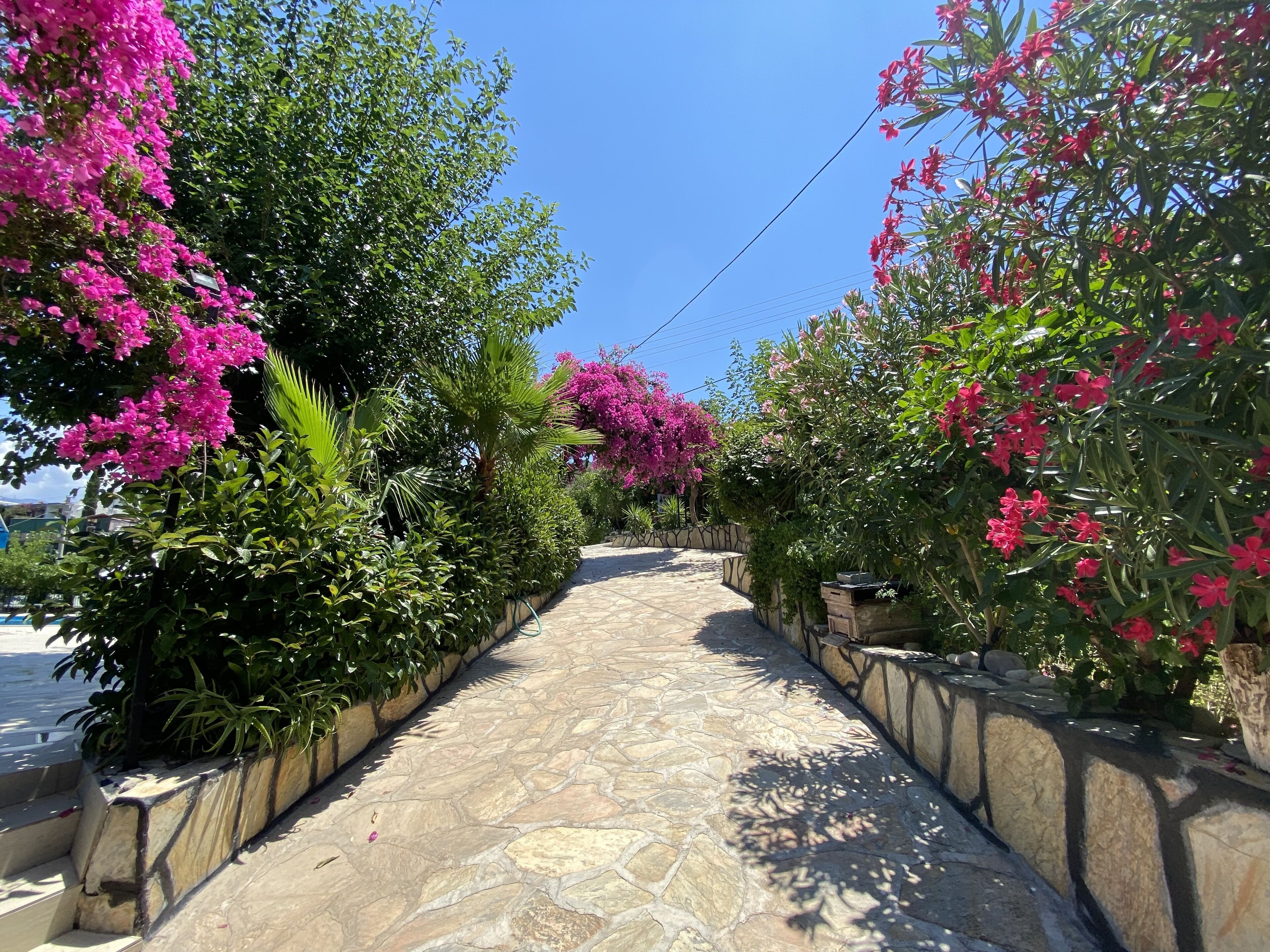 1 bedroom, desk, laptop workspace, soundproofing
