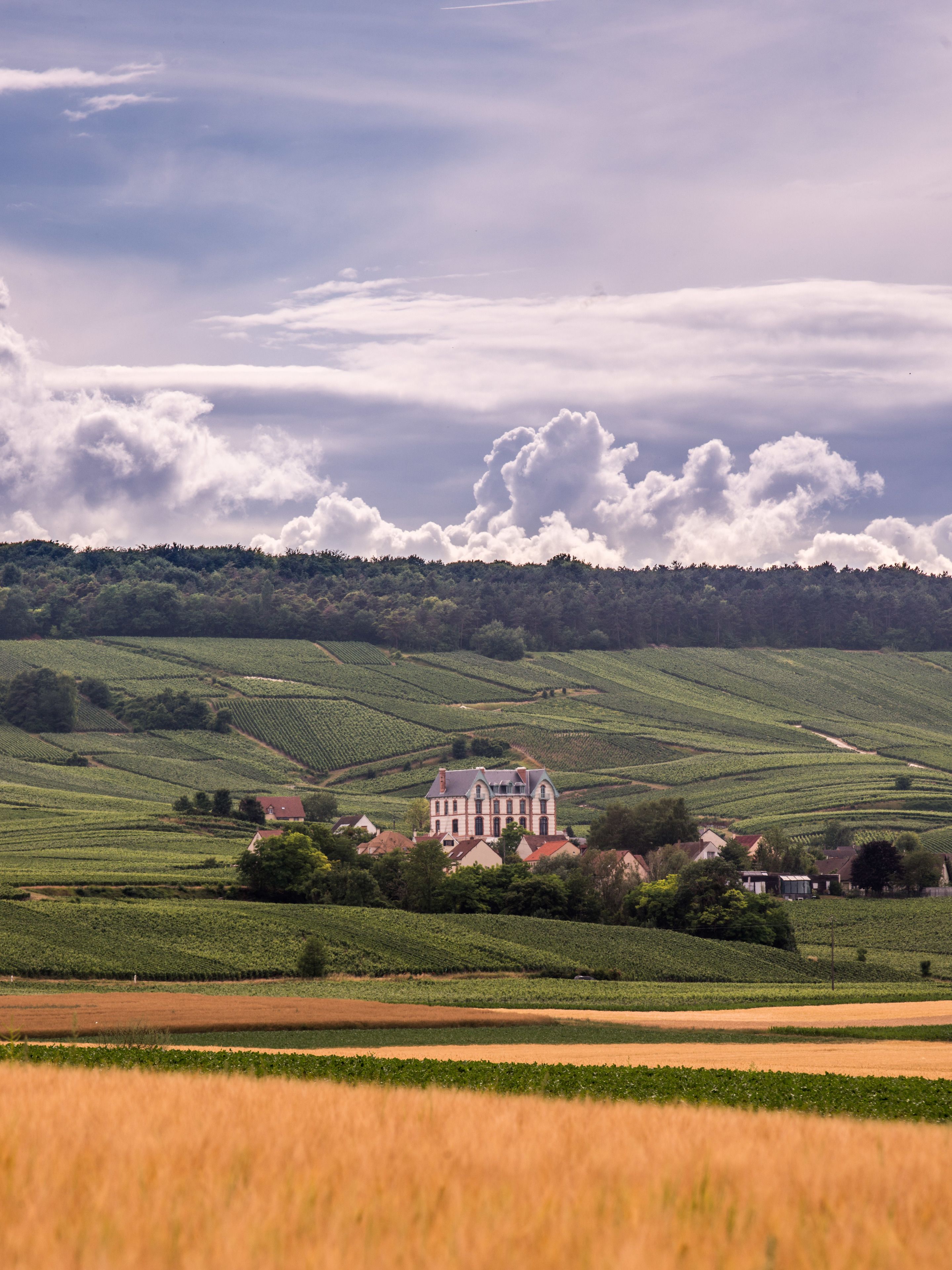 Photo - Chateau de Sacy