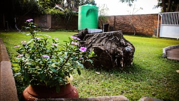 Jardí