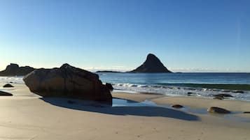 On the beach, white sand, fishing