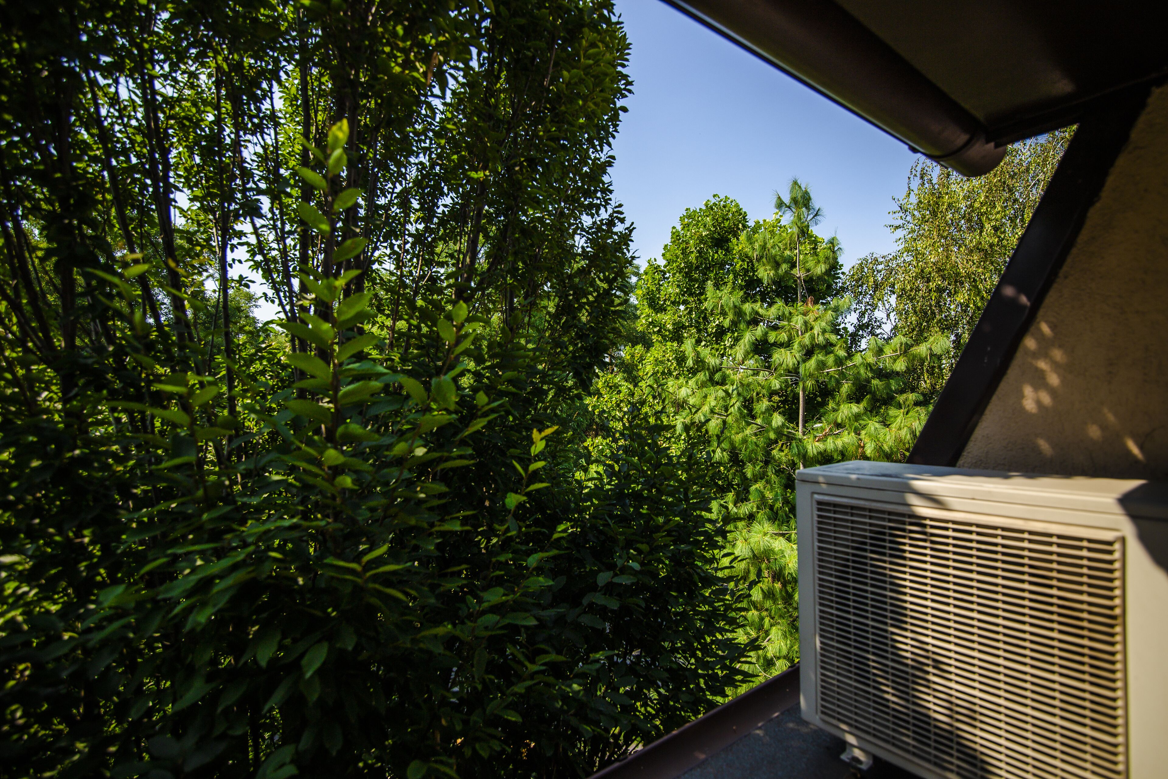 economy double or twin room | balcony view