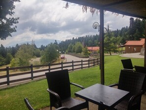 Vista desde la propiedad