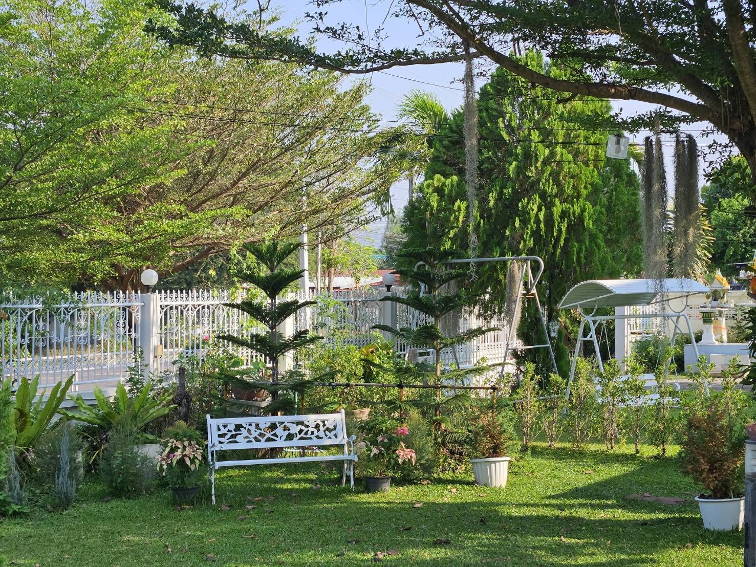 A garden with a white metal bench, various potted plants, and a white fence.