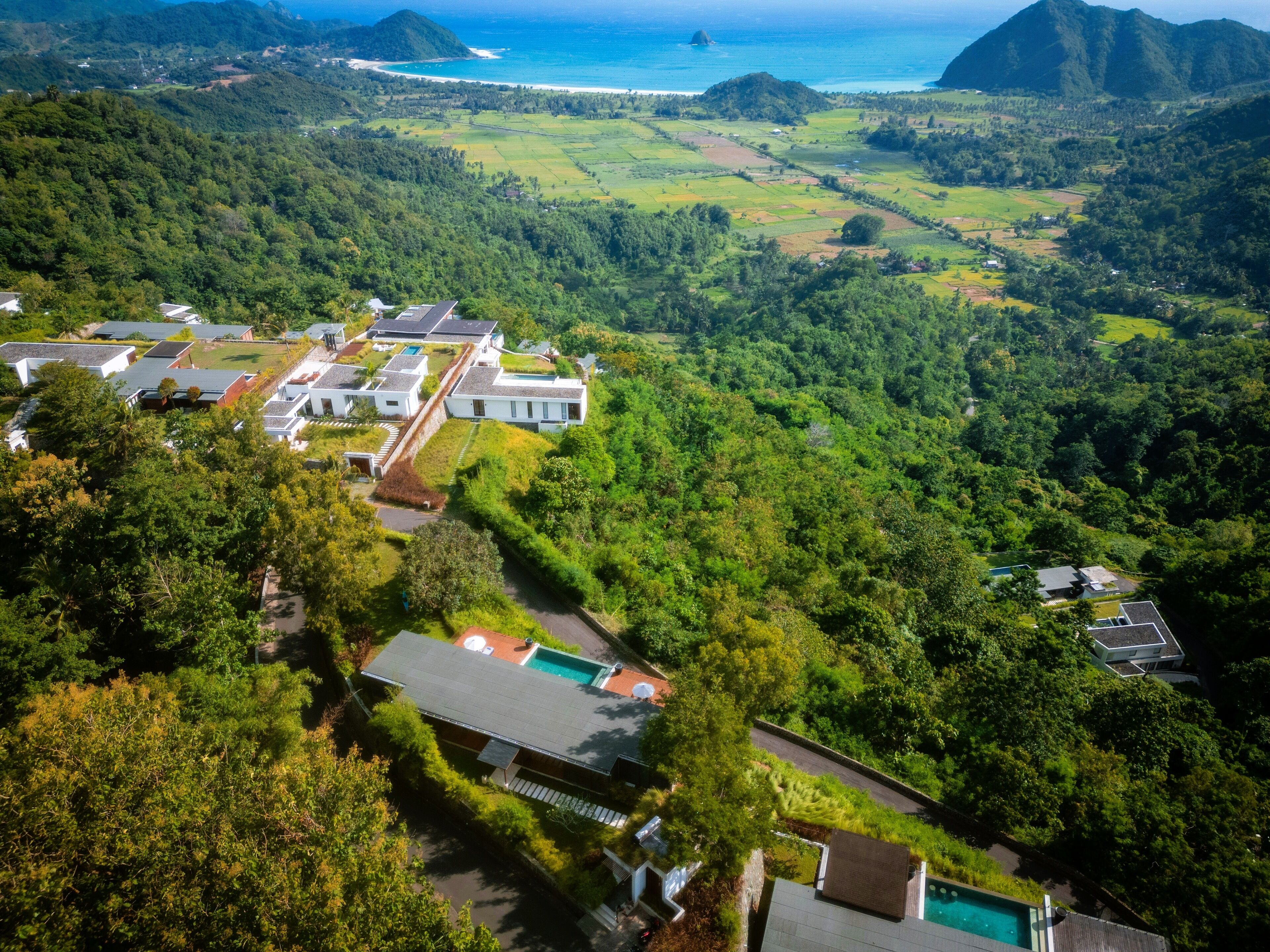 An aerial view of a residential area with houses surrounded by lush greenery and a coastline in the background.