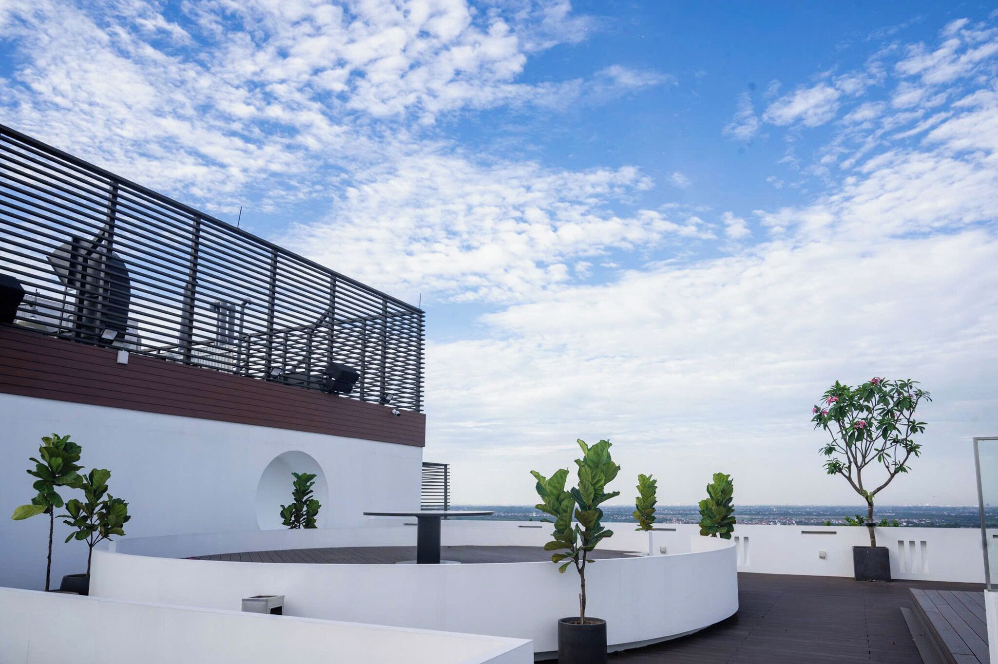 A rooftop terrace with a modern architectural design, featuring a curved white wall, a wooden deck, and potted plants.
