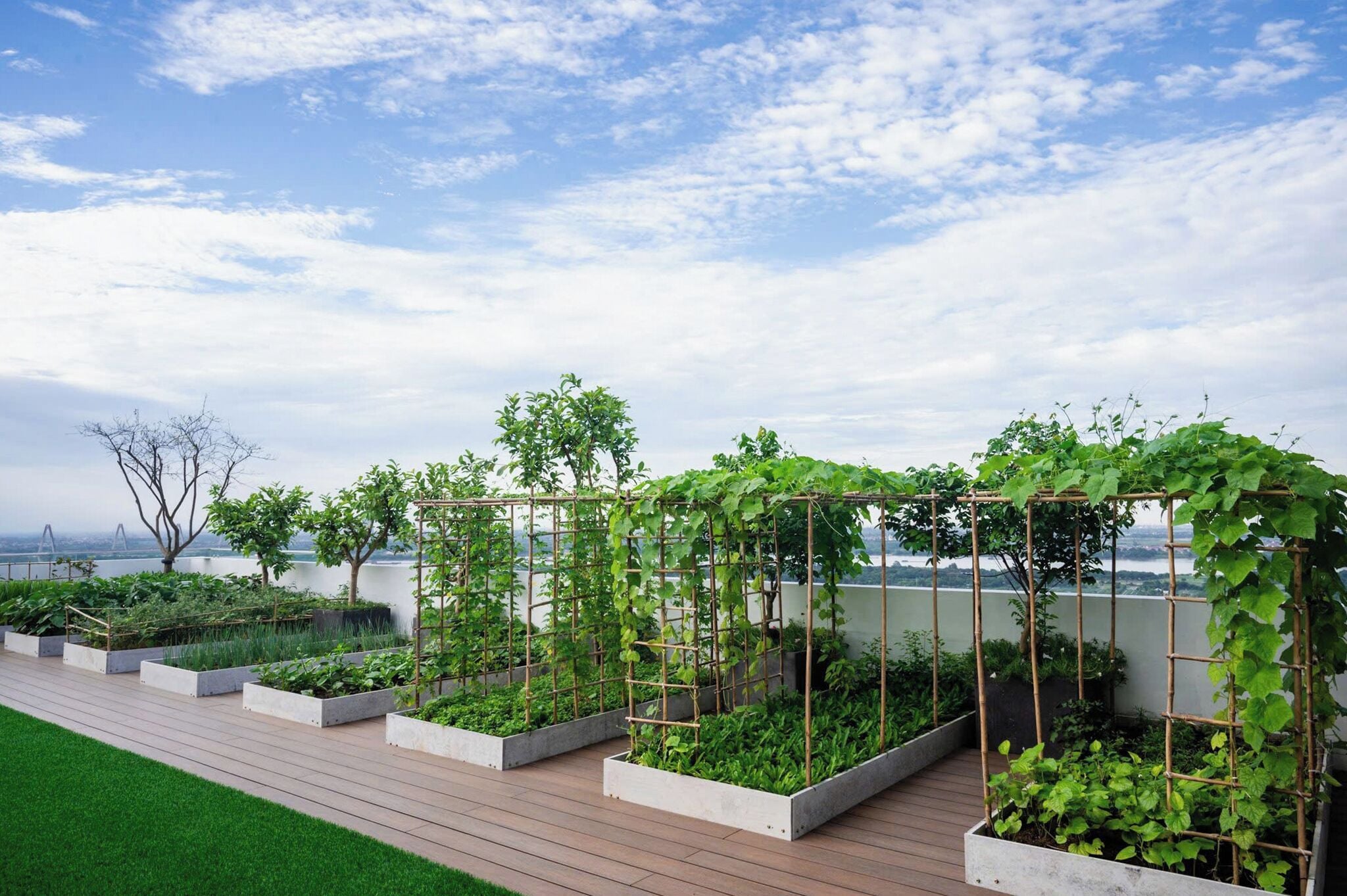 Un jardin sur le toit, doté de jardinières surélevées et de plantes grimpantes.