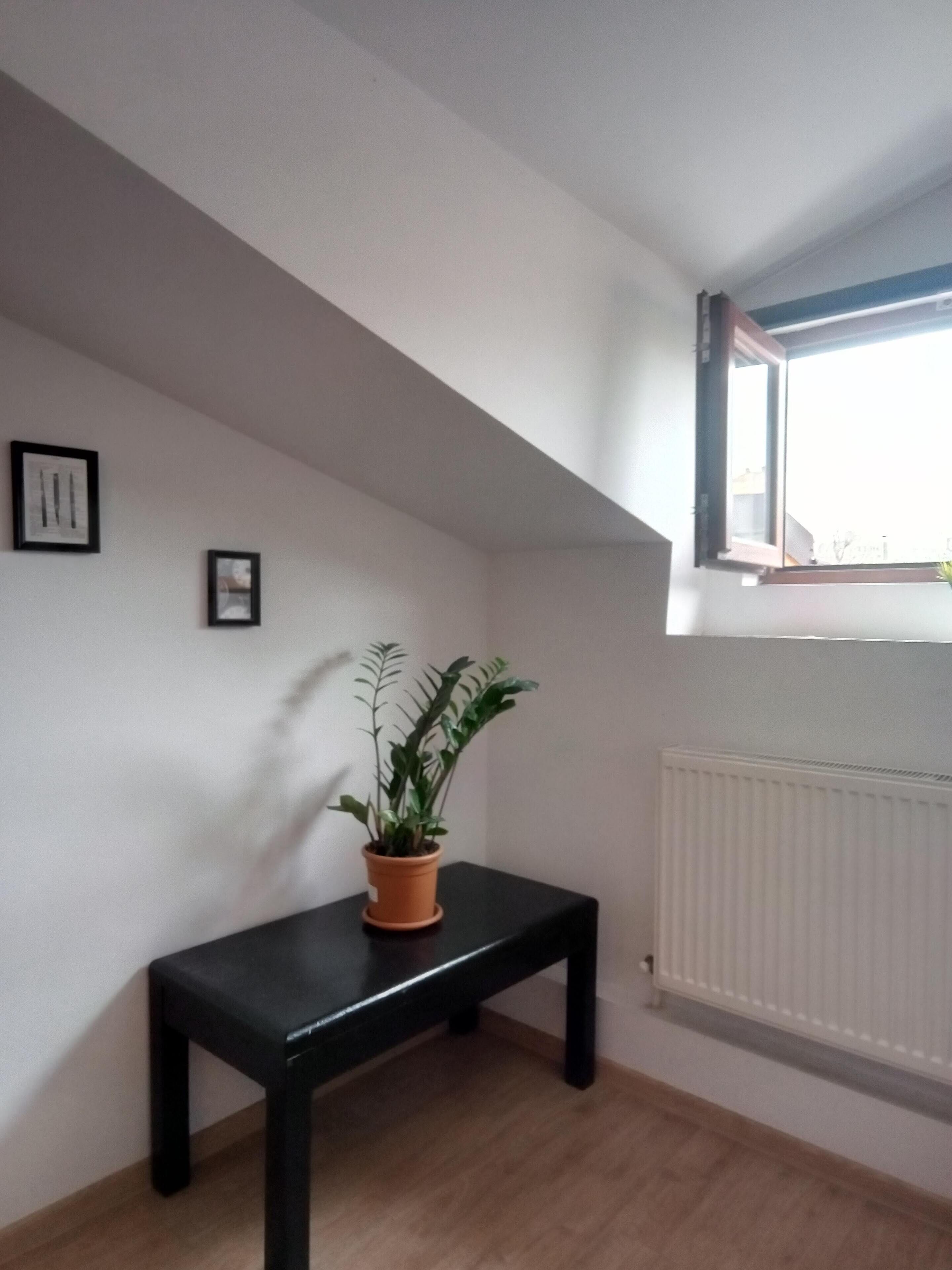 Photo - Central Guesthouse