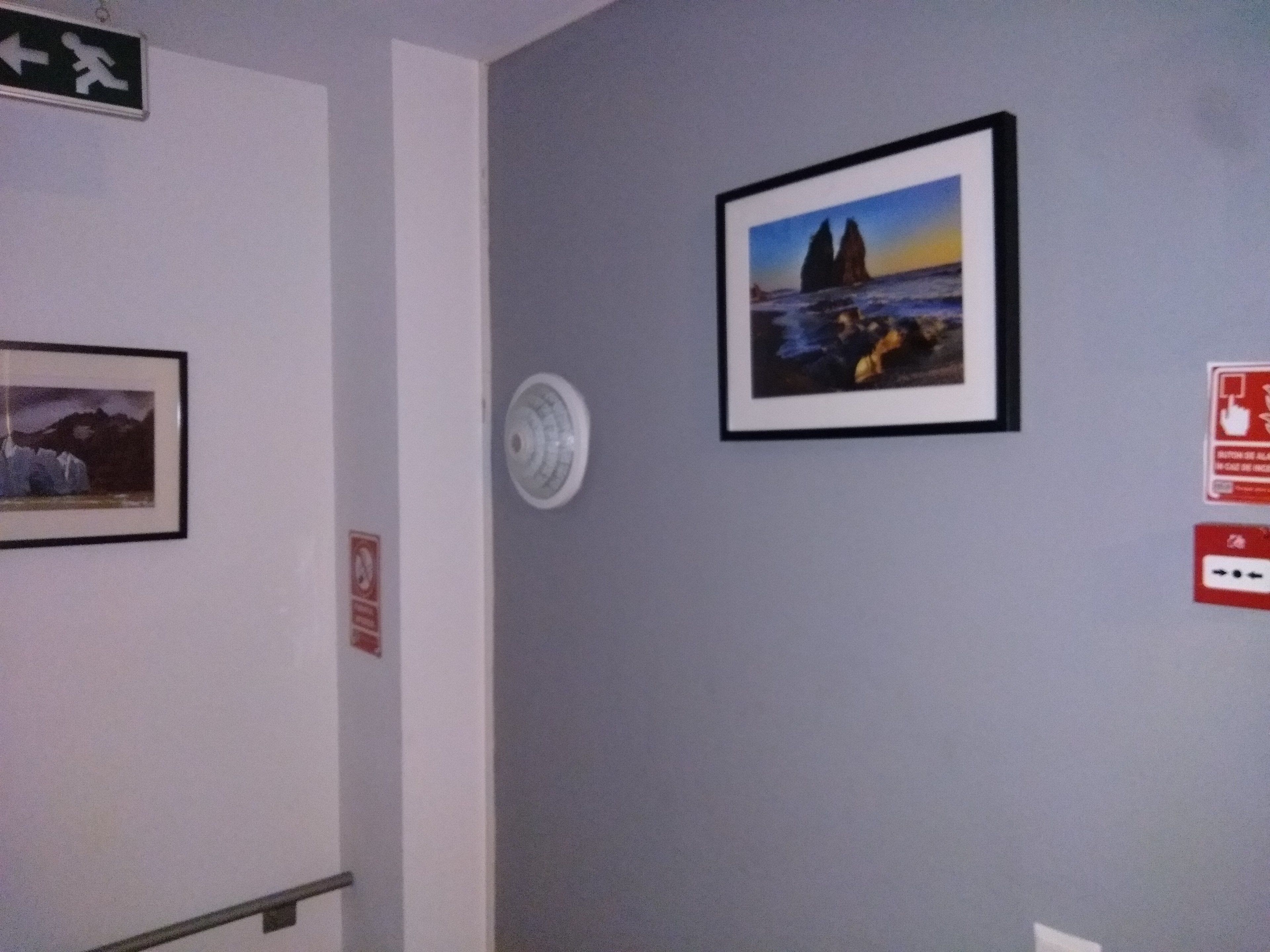 Photo - Central Guesthouse