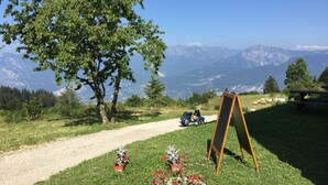 A scenic outdoor area with a dirt path, a scooter, a picnic table, and a large tree. - Malga Zanga (Arco)