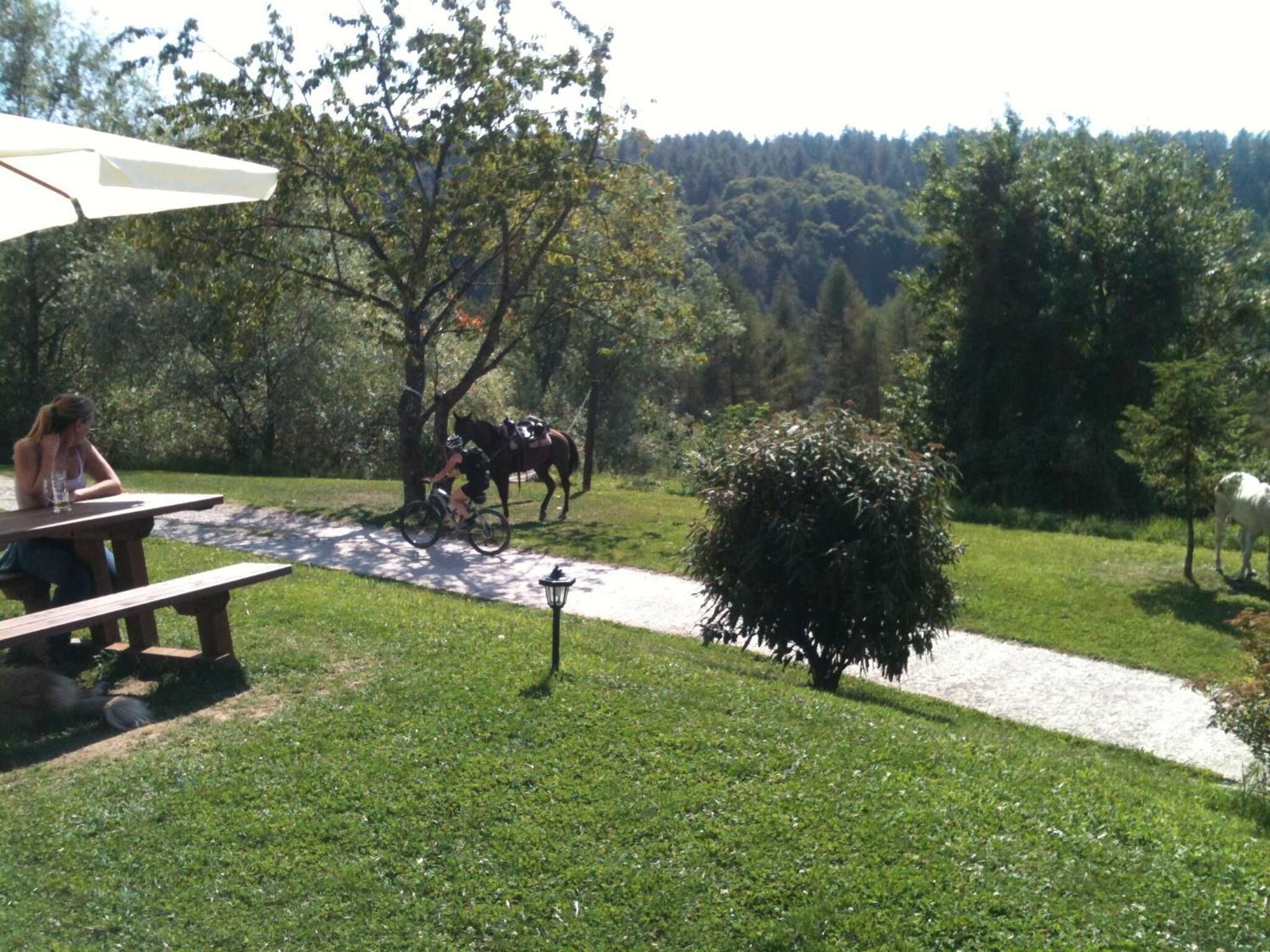 A picnic table and a horse-drawn carriage in a park.