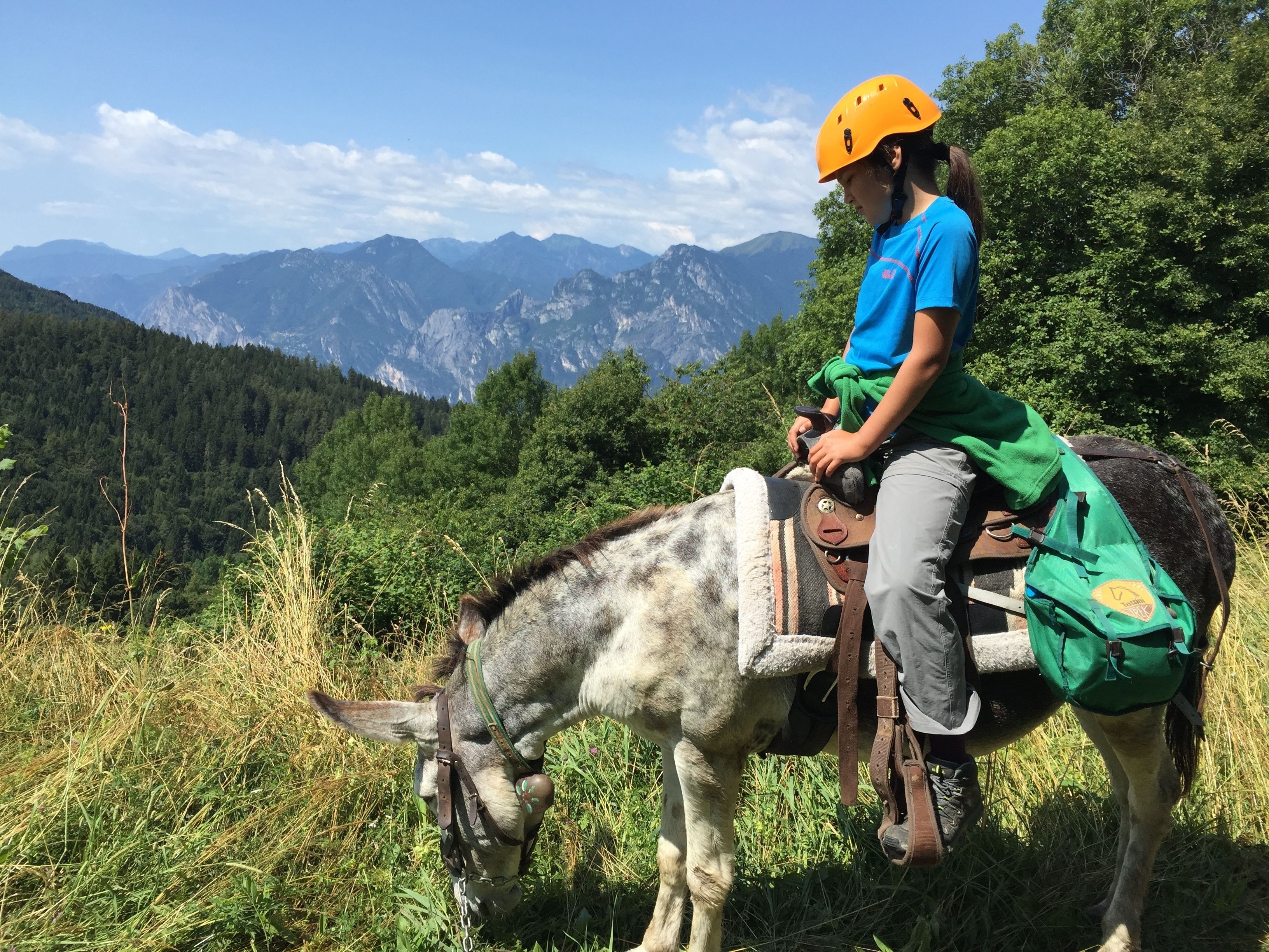 A person riding a donkey on a grassy path with a mountainous backdrop.