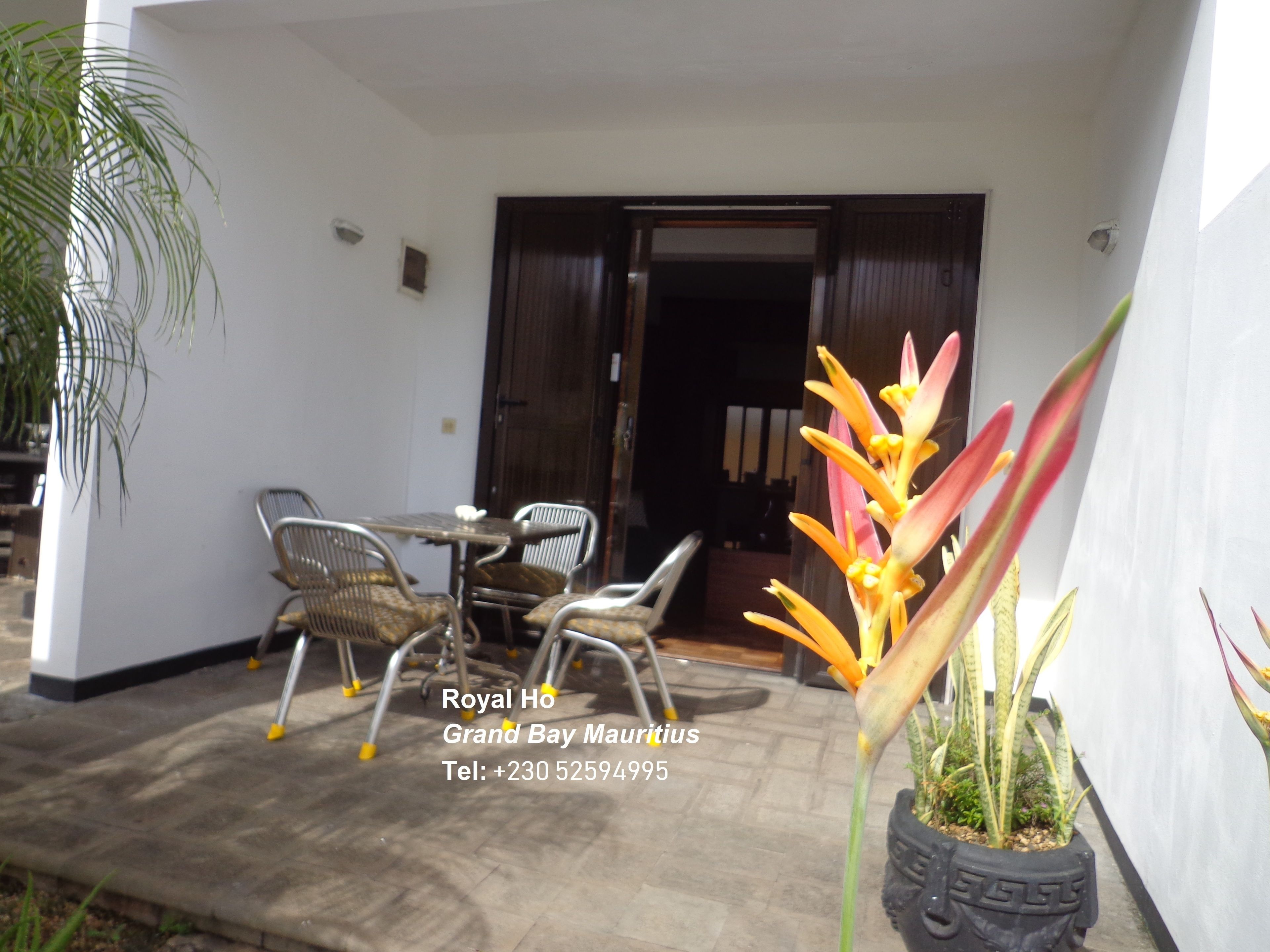 A patio with a table and chairs, a potted plant, and a door leading to an interior space.