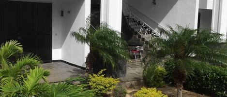 A modern building with a covered outdoor area featuring a staircase, potted plants, and a stone pathway.