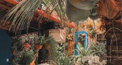 Pousada Natal Paradise