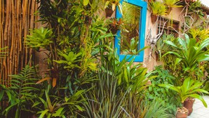 Garden - Pousada Natal Paradise (Natal)