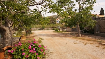 Un camino de grava que conduce a una casa con un muro de piedra y un sendero bordeado de árboles.