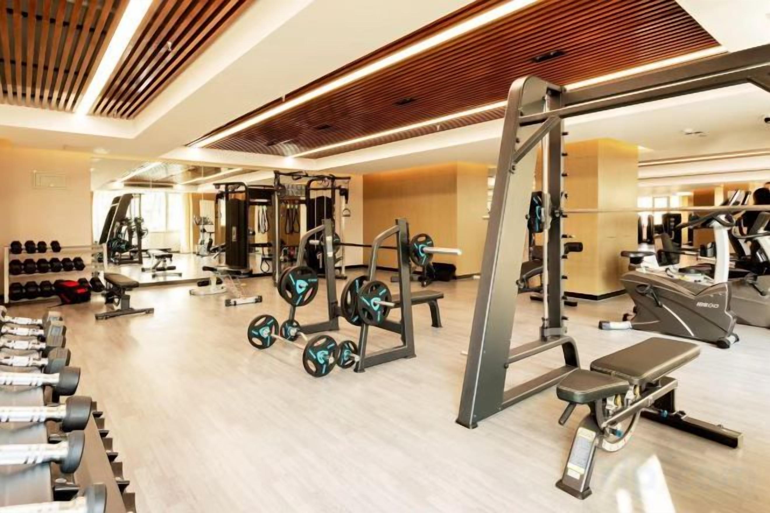 Un gimnasio con diversos equipos de ejercicio, incluyendo mancuernas, máquinas de pesas y máquinas de cardio.
