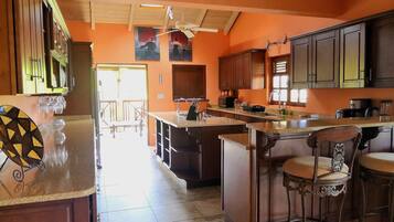 Family Apartment, 2 Bedrooms, Terrace, Ocean View | Dapur peribadi | Peti sejuk, ketuhar gelombang mikro, ketuhar, dapur