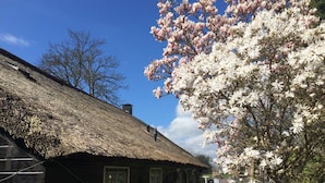 A traditional wooden house with a thatched roof, a small garden, and a blooming tree.
