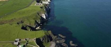 An aerial view of a coastal area with rocky cliffs, green fields, and a beach.