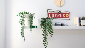 A reception desk with hanging plants, a clock, and a coffee sign.