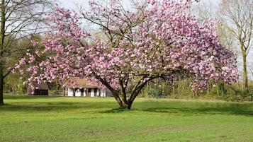 花園