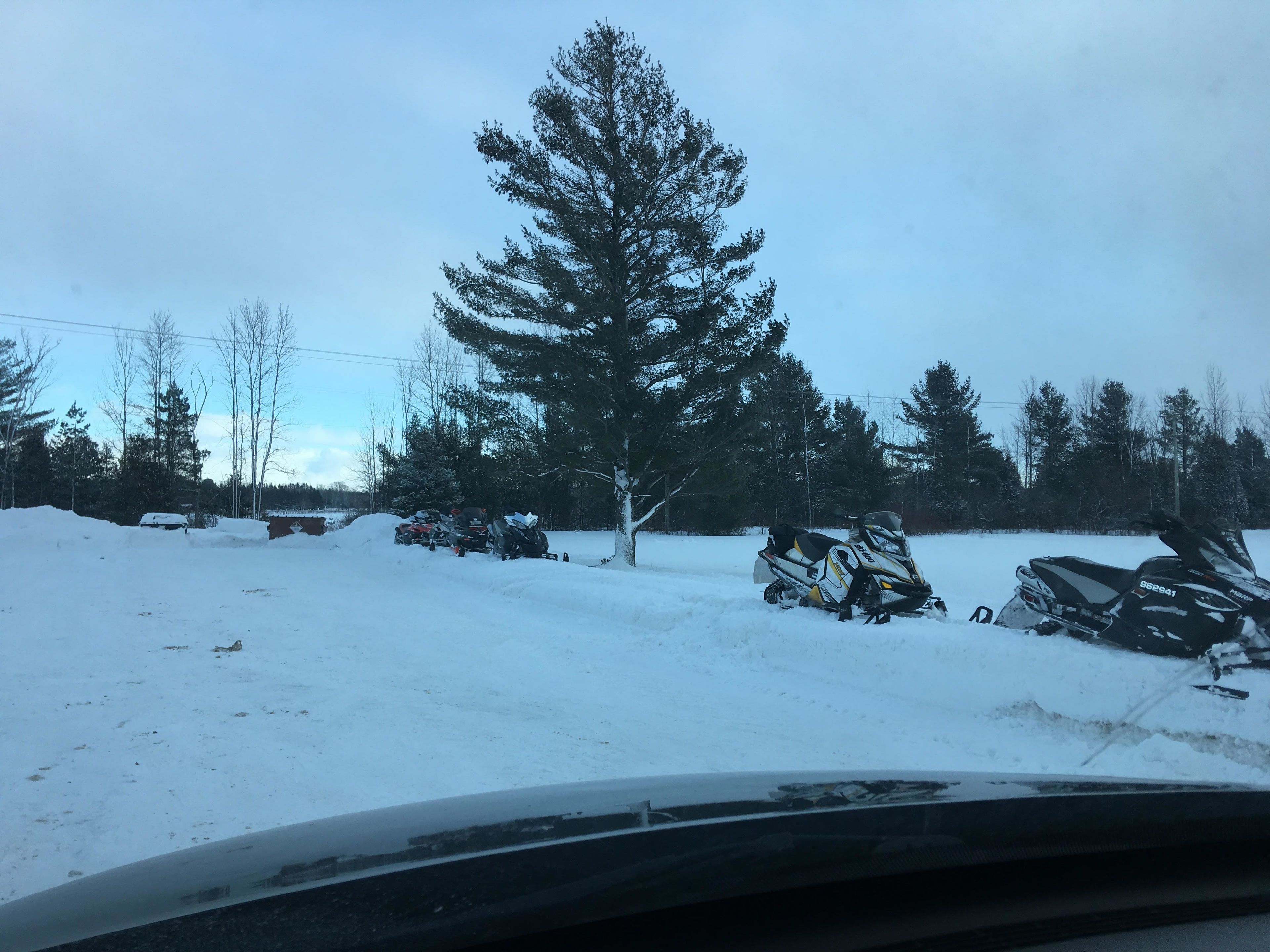 A snowy parking area with several snowmobiles and a large evergreen tree.