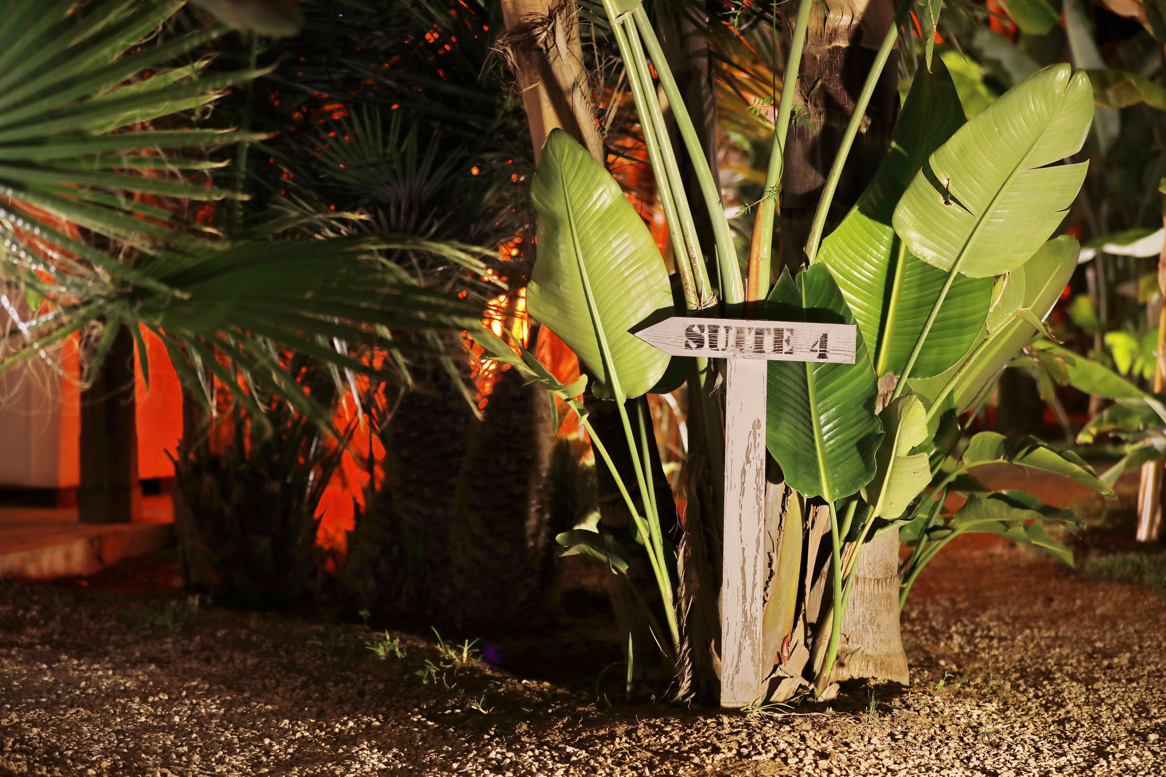 junior suite | premium bedding, minibar, in-room safe, soundproofing