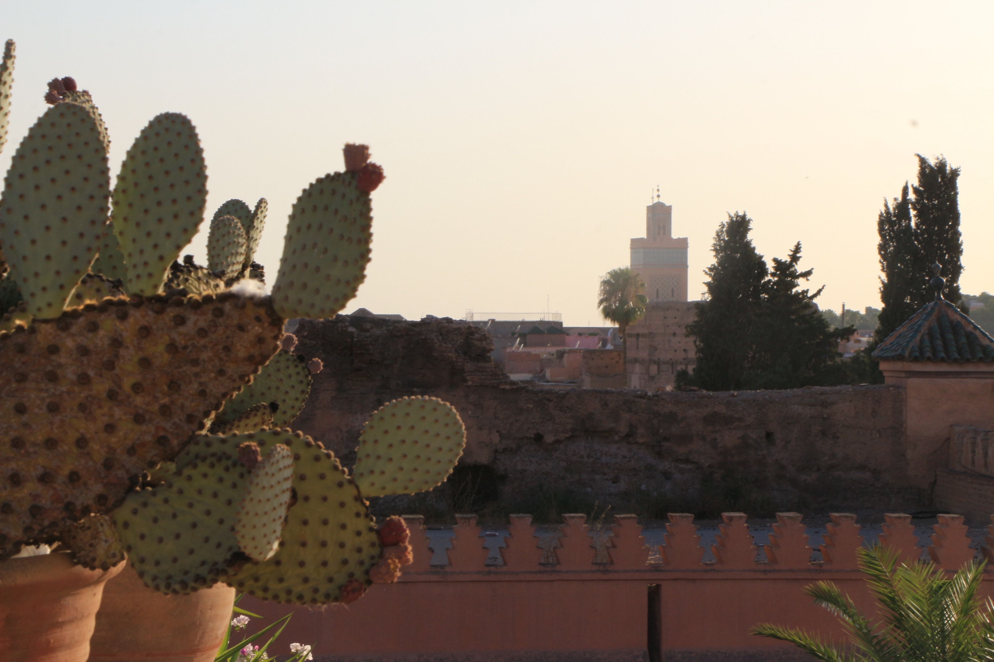 Foto - Riad Ciel d'Orient