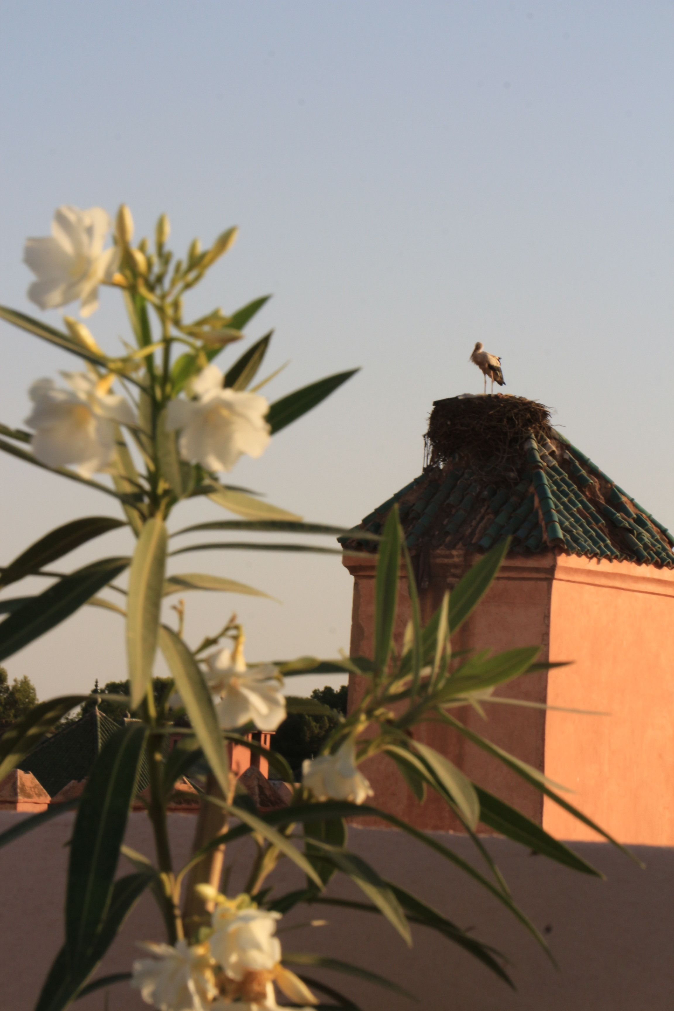 Foto - Riad Ciel d'Orient