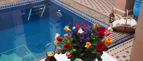 Outdoor pool, sun loungers