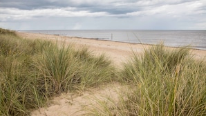A beach with sand dunes and grassy vegetation.